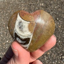 Orthoceras fossil heart 54mm - fossil,