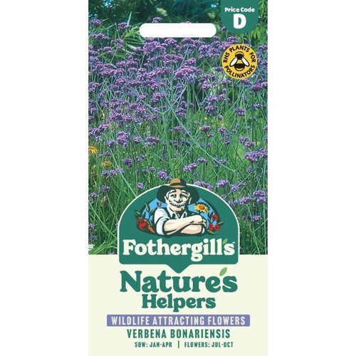 Fothergill verbena - mr, fothergill's