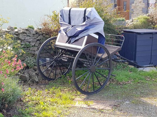 Photo 6x4 horse trap - horse,