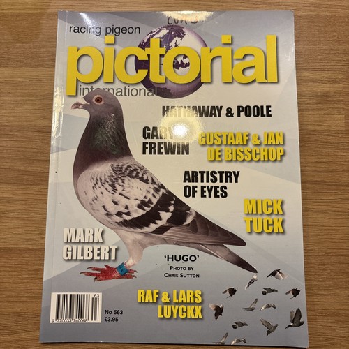 Racing pigeon pictorial - racing,