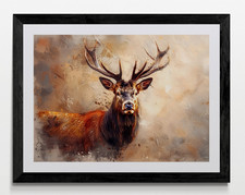 Stag Deer Framed Canvas