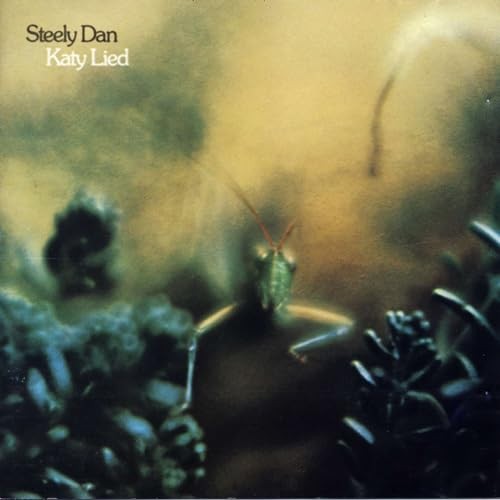 Steely dan katy lied - -,