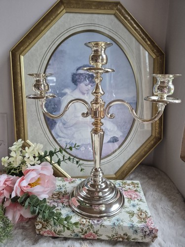 Vintage silver plated - silver, arm