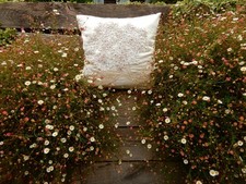Laura Ashley Hydrangea Raised