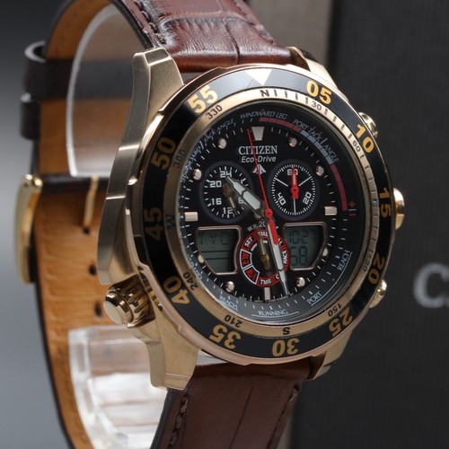 Citizen promaster eco drive - citizen,