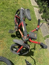 Raleigh Street Wolf  Kids Bike