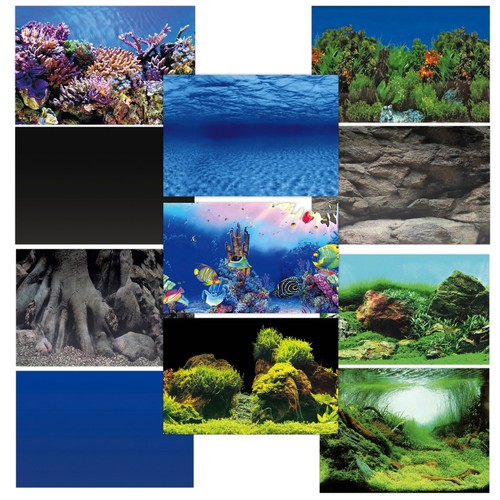 Superfish deco poster aquarium - superfish,