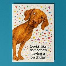 Vizsla Dog - Don’t Look Away Happy Birthday Card & Envelope - Personalised card