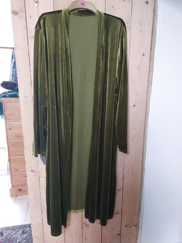 Long green velour velvet - green,