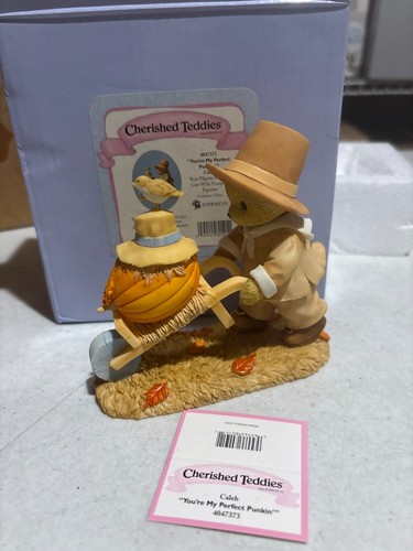 Cherished teddies caleb you - cherished,
