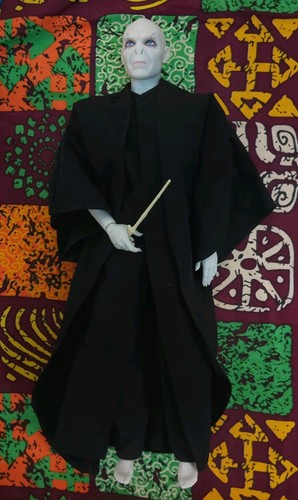 Harry potter lord voldemort - harry,