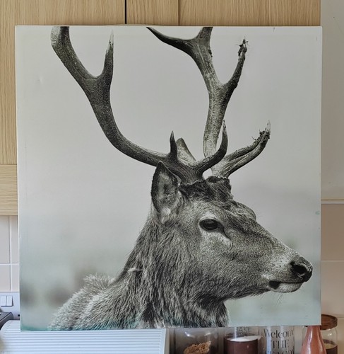 Highland red deer - highland,