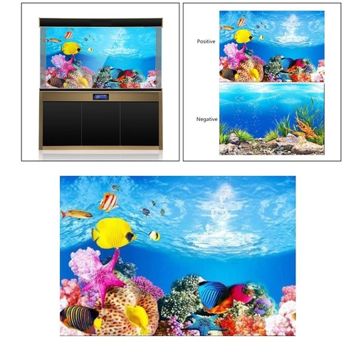Large aquarium background - aquarium,