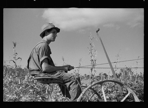 Photo 1930s farm - photo:1930s, worker