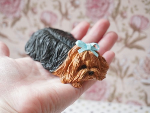 Yorkshire terrier sandicast - yorkshire,