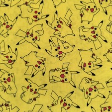 Pokémon Pikachu Character