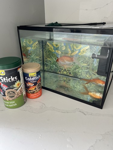 Aquarium with two - with,