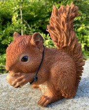 Red Squirrel With Acorn Vivid