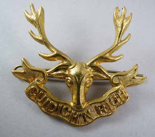 Military brass badge the - military,