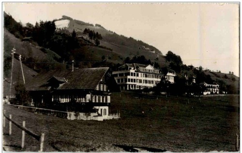 Erlenbach simmental 134810 - in,