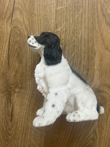 Dog black white cocker - dog,