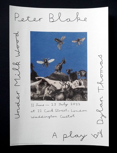 Peter blake original poster - peter,