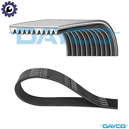 Vribbed belt 10pk1448hd - belt,