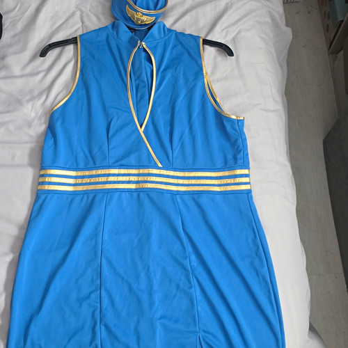 Ann summers air hostess - hostess, blue