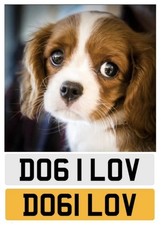 Cherished Number plate Dog