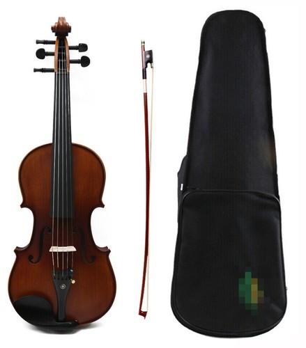 Violin maple 5 - violin,