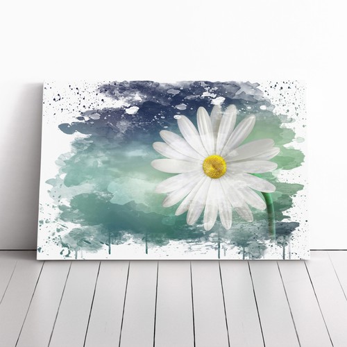 Flower beautiful white daisy - flower,