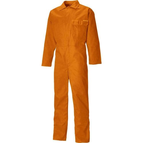 Dickies everyday flame - everyday,