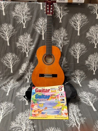 Valencia model vc153 acoustic - valencia,