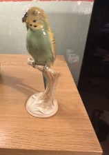 Green & yellow budgie on branch. 