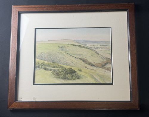 Original signed watercolour - original,