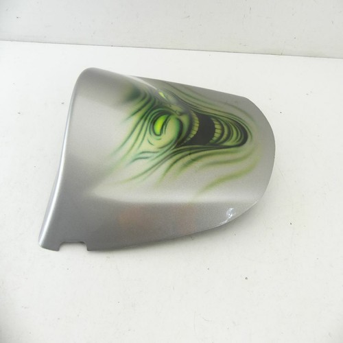 Kawasaki 1000 pillion cover - kawasaki,