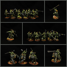 Warhammer 40k Kroot Hunting