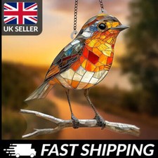 Large Robin Bird On Twig