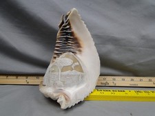 Vintage Carved Pompeii Mt