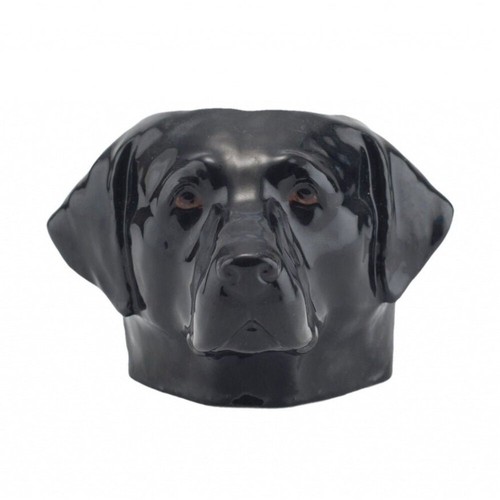 Black labrador dog - dog, face