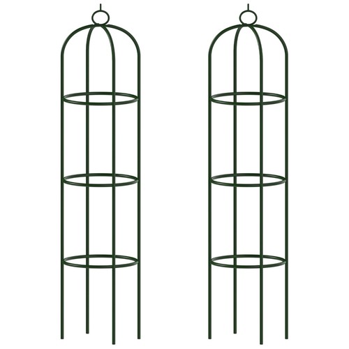 Garden obelisk climbing - 2,