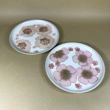 Denby Gypsy Pair of Dinner