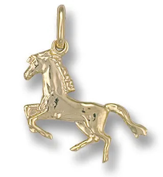 Pendant 9ct yellow - 9ct, gold