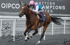 TOM QUEALLY - FRANKEL