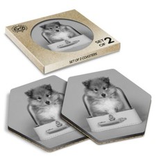 2 x Hexagon Coasters - BW -