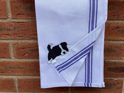 Border collie puppy novelty - collie,