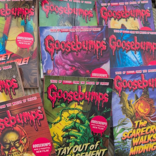 Goosebumps paperback book - , x