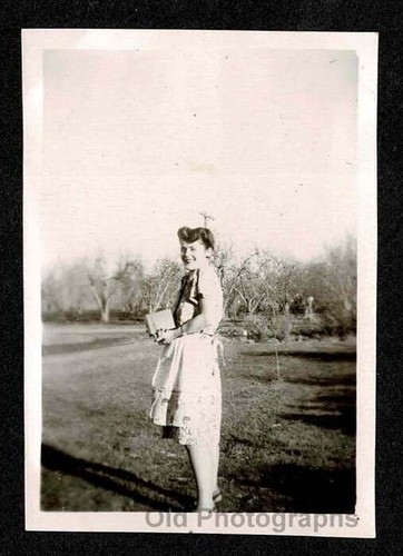 Woman lady dress apron - dress,