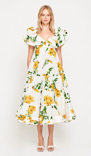 Leo lin marguerite blanche - marguerite,