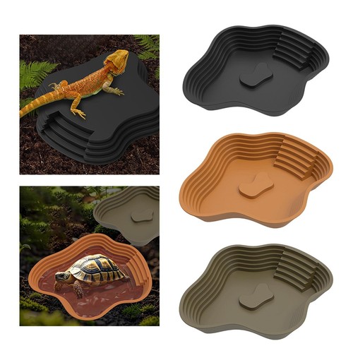 Tortoise water bowl with ramp - with,